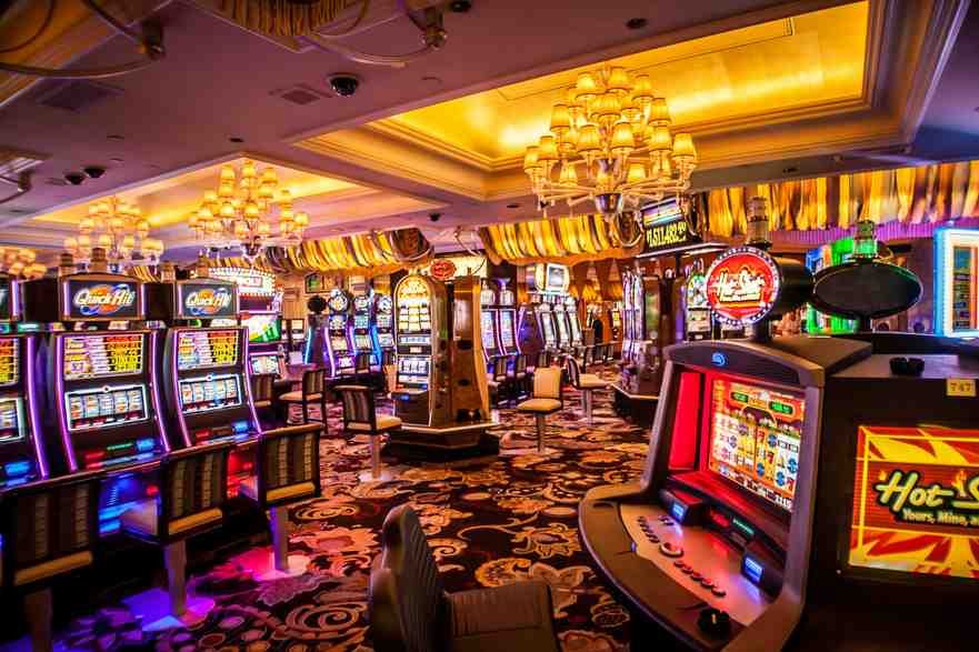 Admiral shark casino online Admiral shark casino online